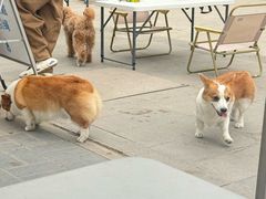 -小意思咖啡店(草桥店)
