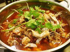 -蛙鱼道美蛙鱼自助火锅(新耍都店)
