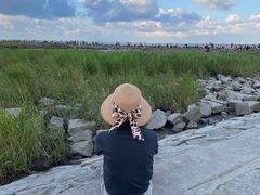 -南汇嘴观海公园