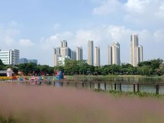 -映月湖公园