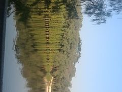 -三水森林公园