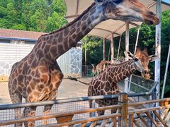 -泉州海丝野生动物世界