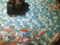 -上和臻品中国菜(花园街店)