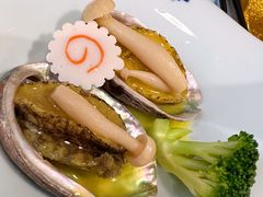 -黑松白鹿(崇文门新活馆店)