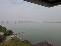 -大湾区中央湿地公园