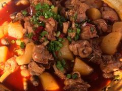 -青城甲(青城山店)