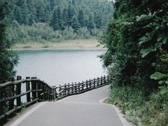 -武陵山森林公园