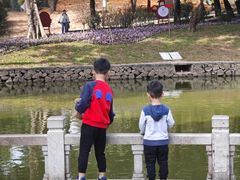 -榴花公园