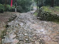 -仙霞关景区