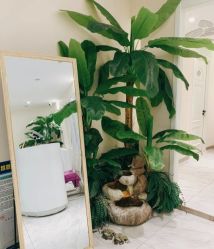 -健身堂科技美肌SPA