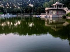 -黄村公园