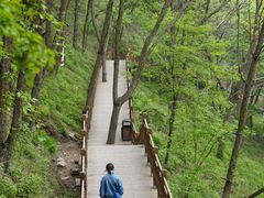 -陕西省红河谷森林公园