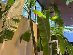 -单家老院·院子里的青岛菜(沙子口店)