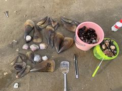 -万尾金滩