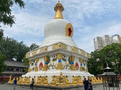 -护国法轮寺