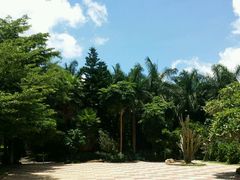 android_upload_pic-广东茂名森林公园