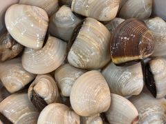 -老何家后安粉·糟粕醋海鲜火锅(三亚湾椰梦长廊店)