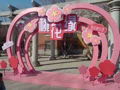 -桃花堤公园