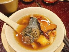 -滇野云南野生菌餐厅