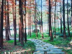 -宝界山林公园