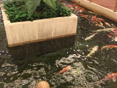 -太子园林酒家