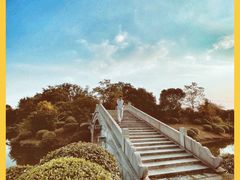 -桃花岛景观公园