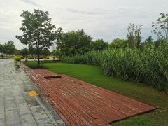 -上海山野camping·户外天幕烧烤·团建拓展营地