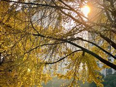 -苏州河梦清园环保主题公园