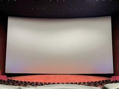 -悦江新远影城IMAX