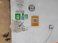 -南汇水蜜桃采摘(大团店)