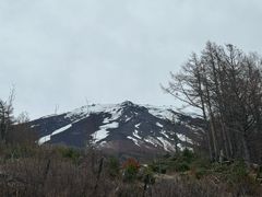 -富士山吉田線五合目