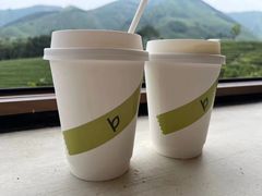-白茶原·一片叶子