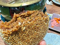 -大白羊蝎子馆(后沙峪山姆店)