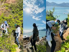 -西涌国际滨海旅游区