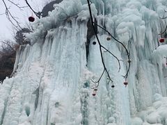 -黑龙潭风景区