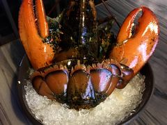 波士顿龙虾-六合极品海鲜锅物