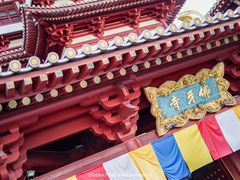 -新加坡佛牙寺龙华院