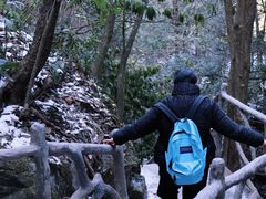 -藏龙百瀑风景区