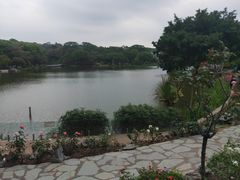 -东莞植物园