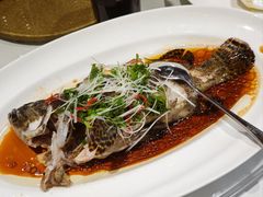 -老洋房花园饭店(绍兴路店)