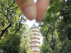 -灵谷景区
