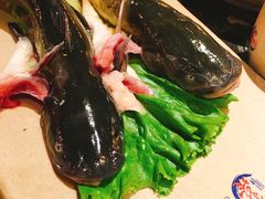 -小龙坎火锅(华凌店)
