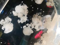 -沈阳海洋探索中心