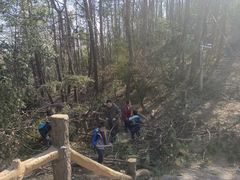 -青龙山国家森林公园