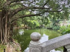 -人民公园(罗湖区)