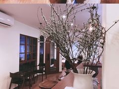 -有猫主题·治愈系猫咖(曾厝垵店)
