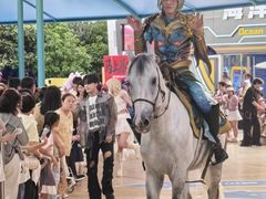 -海合安武汉极地海洋公园