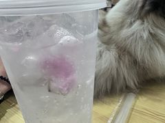 -楼上猫咖(罗湖店)
