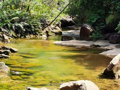 -广州白江湖森林公园