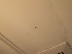 -北京奥北宝迪酒店